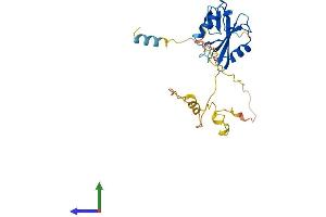 AlphaFold protein structure predicition of Mouse Recombinant Shf Protein, UniprotID Q8CG80 (SHF Protein (AA 1-238) (His tag))