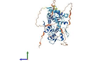 Protein Structure (PS) image for Zinc Finger and SCAN Domain Containing 22 (ZSCAN22) (AA 1-491) protein (His tag) (ABIN7545607)