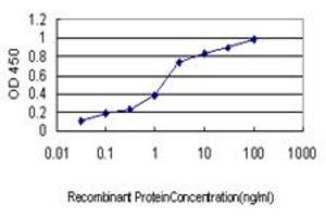 Detection limit for recombinant GST tagged USP9X is approximately 0. (USP9X antibody  (AA 1-90))