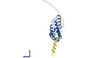 Protein Structure (PS) image for Regulator of G-Protein Signaling 10 (RGS10) (AA 1-181) protein (His tag) (ABIN7560535)