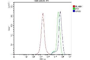 Flow Cytometry analysis of Jurkat cells using anti-GAS2 antibody (ABIN7603220). (GAS2 antibody  (N-Term))