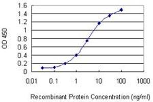 Detection limit for recombinant GST tagged CPNE5 is 0. (Copine V antibody  (AA 393-450))