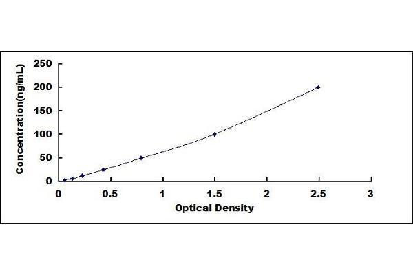 CSN3 ELISA Kit
