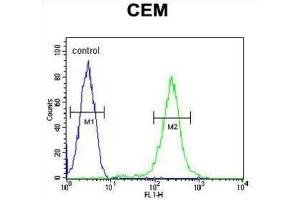 Flow Cytometry (FACS) image for anti-Complement Factor P (CFP) antibody (ABIN3004386)