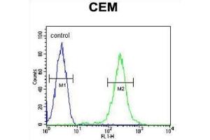 Flow Cytometry (FACS) image for anti-Complement Factor P (CFP) antibody (ABIN3004386) (CFP antibody)