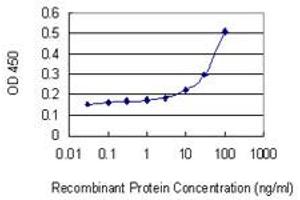 Detection limit for recombinant GST tagged GZMA is 3 ng/ml as a capture antibody. (GZMA antibody  (AA 41-141))