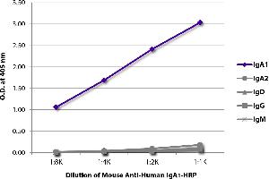 ELISA plate was coated with purified human IgA1, IgA2, IgD, IgG, and IgM. (Mouse anti-Human IgA1 (Fc Region) Antibody (HRP))