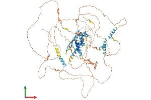 AlphaFold protein structure predicition of Mouse Recombinant E2f8 Protein, UniprotID Q58FA4