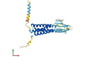 AlphaFold protein structure predicition of Human Recombinant CACNG6 Protein, UniprotID Q9BXT2 (CACNG6 Protein (AA 1-260) (His tag))