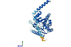 Protein Structure (PS) image for Retinol Dehydrogenase 10 (All-Trans) (RDH10) (AA 1-341) protein (His tag) (ABIN7551259)