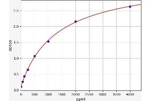 Amphiregulin ELISA Kit