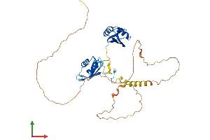 AlphaFold protein structure predicition of Human Recombinant RBM4B Protein, UniprotID Q9BQ04