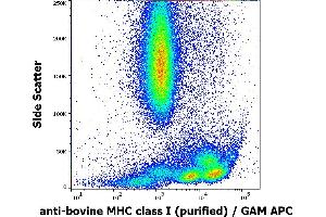 Flow cytometry surface staining pattern of bovine peripheral whole blood stained using anti-bovine MHC ClassI (IVA26) purified antibody (concentration in sample 10 μg/mL) GAM APC.