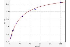 Alpha-amylase 1 ELISA Kit