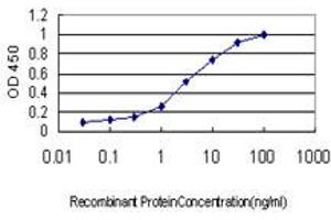Detection limit for recombinant GST tagged DPYS is approximately 0. (DPYS antibody  (AA 422-519))