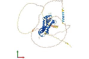 AlphaFold protein structure predicition of Human Recombinant CCDC82 Protein, UniprotID Q8N4S0 (CCDC82 Protein (AA 1-544) (His tag))