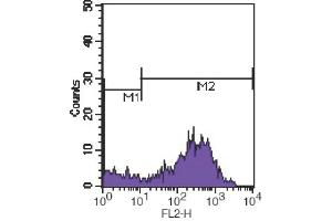 Flow Cytometry (FACS) image for anti-CD7 (CD7) antibody (PE) (ABIN2144765) (CD7 antibody  (PE))