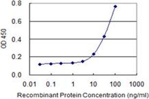 Detection limit for recombinant GST tagged MUC5AC is 0. (MUC5AC antibody  (AA 351-450))