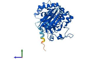 AlphaFold protein structure predicition of Mouse Recombinant Sec14l2 Protein, UniprotID Q99J08