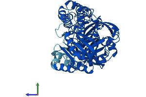 AlphaFold protein structure predicition of Mouse Recombinant Rtcb Protein, UniprotID Q99LF4
