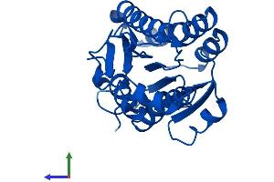 AlphaFold protein structure predicition of Human Recombinant BDH2 Protein, UniprotID Q9BUT1