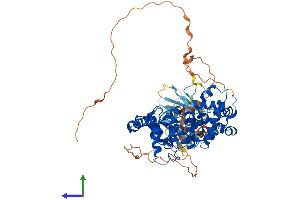 Protein Structure (PS) image for TBC1 Domain Family, Member 17 (TBC1D17) (AA 1-648) protein (His tag) (ABIN7555750)