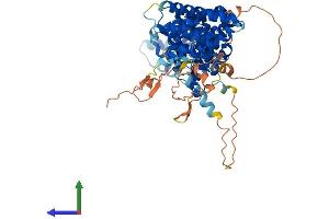 AlphaFold protein structure predicition of Human Recombinant RRN3 Protein, UniprotID Q9NYV6 (RRN3 Protein (AA 1-651) (His tag))
