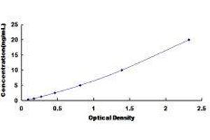 ELISA image for Protein Kinase, DNA-Activated, Catalytic Polypeptide (PRKDC) ELISA Kit (ABIN1118184)