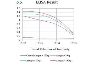 Black line: Control Antigen (100 ng),Purple line: Antigen (10 ng), Blue line: Antigen (50 ng), Red line:Antigen (100 ng) (BTLA antibody  (AA 179-289))