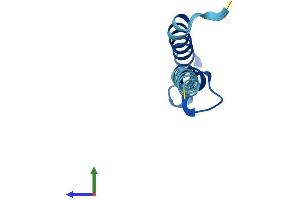 Protein Structure (PS) image for Phosphatidylinositol Glycan Anchor Biosynthesis, Class Y (PIGY) (AA 1-71) protein (Fc Tag) (ABIN7550703)