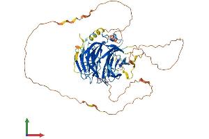 AlphaFold protein structure predicition of Human Recombinant DCAF10 Protein, UniprotID Q5QP82