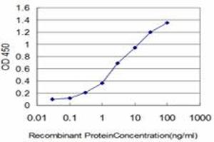 Detection limit for recombinant GST tagged FLT4 is approximately 0. (FLT4 antibody  (AA 34-133))