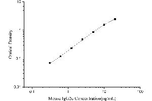 IgG2c ELISA Kit