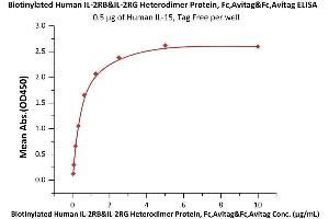 IL-2 R beta & IL-2 R gamma (AA 27-239) (Active) protein (Fc Tag,AVI tag,Biotin)