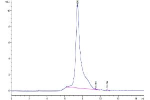 The purity of Mouse LRRN1 is greater than 95 % as determined by SEC-HPLC. (LRRN1 Protein (AA 26-631) (His tag))