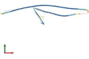 AlphaFold protein structure predicition of Mouse Recombinant Gas8 Protein, UniprotID Q60779