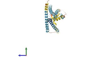 AlphaFold protein structure predicition of Human Recombinant LAPTM5 Protein, UniprotID Q13571