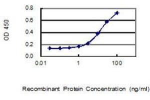 Detection limit for recombinant GST tagged DTWD1 is 0. (DTWD1 antibody  (AA 1-304))