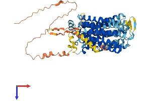 Solute Carrier Family 17 (Vesicular Glutamate Transporter), Member 6 (SLC17A6) (AA 1-582) protein (His tag)