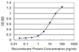 Detection limit for recombinant GST tagged LNX1 is 0. (LNX1 antibody  (AA 19-118))