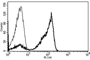Flow Cytometry (FACS) image for anti-CD2 (CD2) antibody (ABIN1106014) (CD2 antibody)