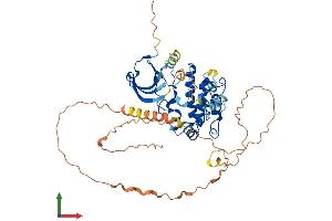 Protein Structure (PS) image for Calcium/calmodulin-Dependent Protein Kinase IG (CAMK1G) (AA 1-477) protein (His tag) (ABIN7559983)