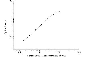 Typical standard curve (DNMT1 ELISA Kit)