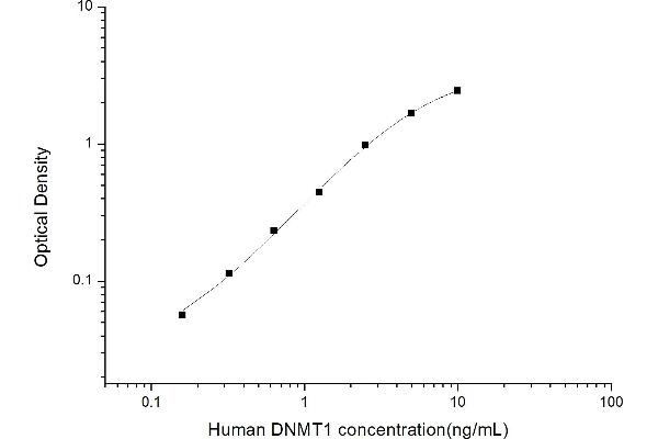 DNMT1 ELISA Kit