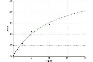 ATP-Binding Cassette, Sub-Family C (CFTR/MRP), Member 1 (ABCC1) ELISA Kit