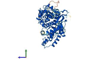AlphaFold protein structure predicition of Human Recombinant CYP2D7 Protein, UniprotID A0A087X1C5 (Cytochrome P450, Family 2, Subfamily D, Polypeptide 7 Pseudogene 1 (CYP2D7P1) (AA 1-515) protein (His tag))