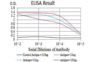 Black line: Control Antigen (100 ng),Purple line: Antigen (10 ng), Blue line: Antigen (50 ng), Red line:Antigen (100 ng) (MME antibody  (AA 549-750))