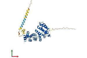 AlphaFold protein structure predicition of Human Recombinant ARMC12 Protein, UniprotID Q5T9G4
