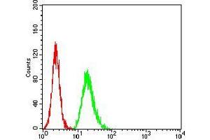 Flow Cytometry (FACS) image for anti-Transcription Factor 4 (TCF4) (AA 518-667) antibody (ABIN5542393)