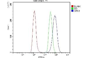Flow Cytometry analysis of U20S cells using anti-GRID2 antibody (ABIN7603172). (GRID2 antibody  (N-Term))